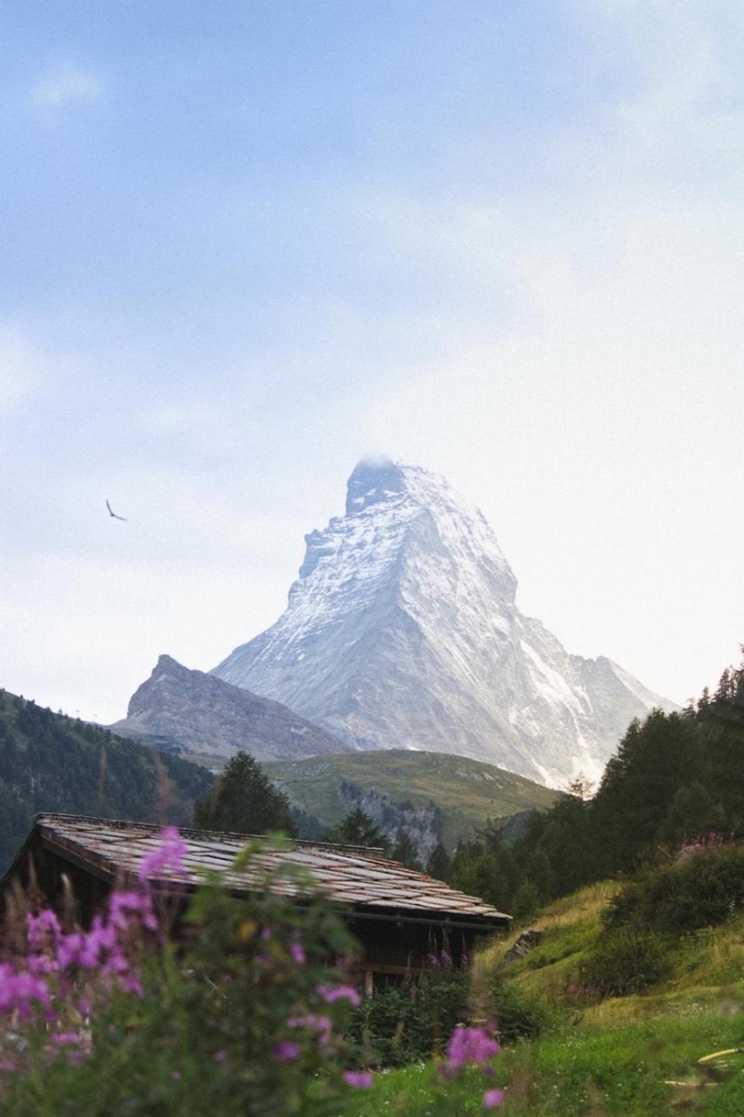 Studio Wolli - Stylish & Central - Steps To Matterhorn Gondola Ζερμάτ Εξωτερικό φωτογραφία